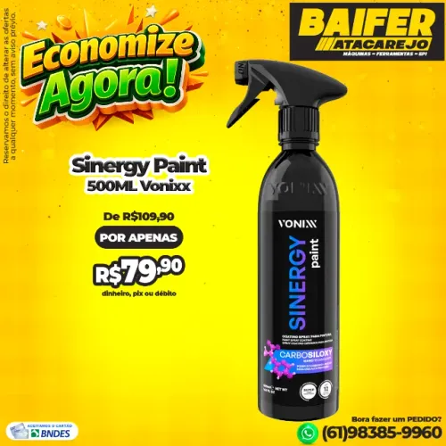 Sinergy Paint 500ML Vonixx