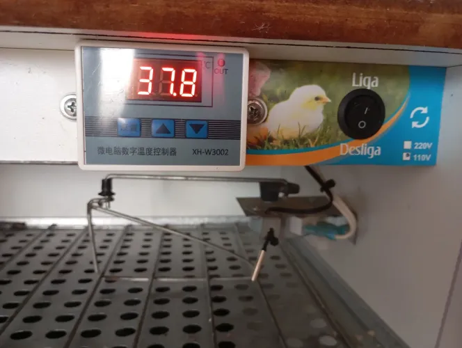 Chocadeira 