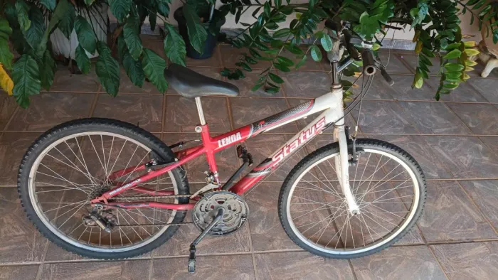 Bicicleta