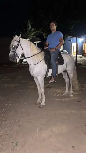 Cavalo marcha batida