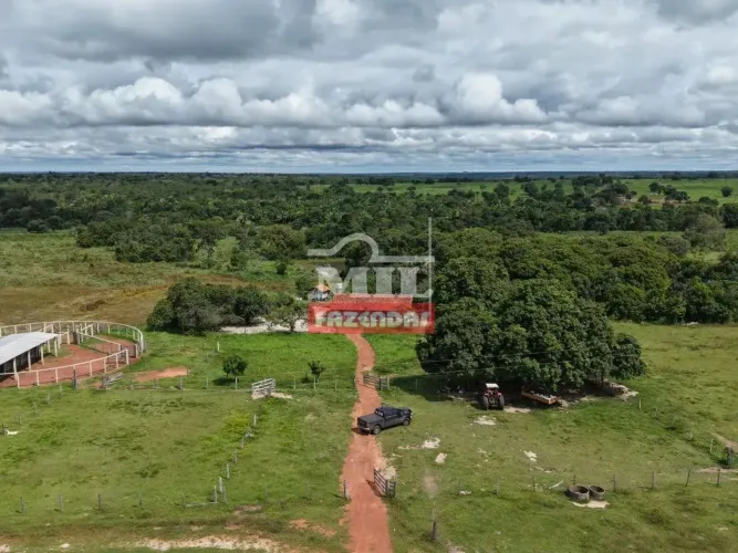 Fazenda 117 Alqueires (566 hectares) São Miguel do Araguaia - GO