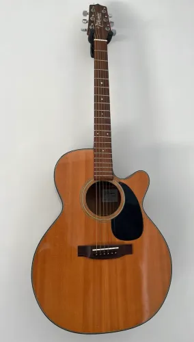 Takamine EG220C