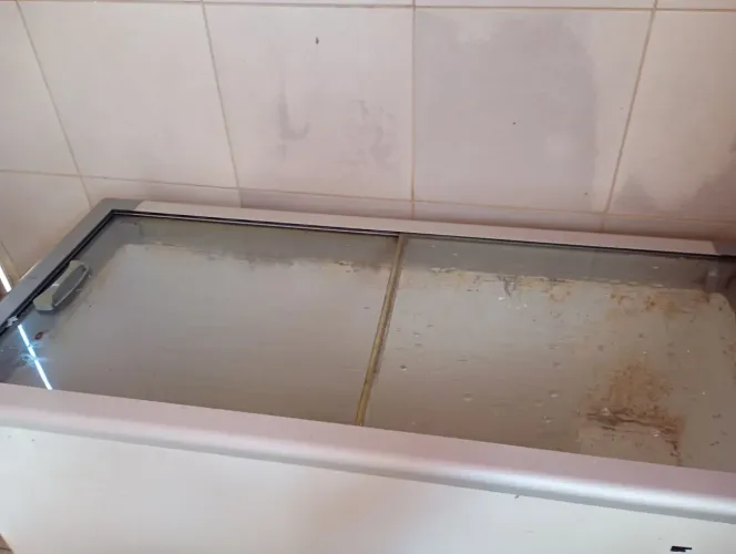Freezer Horizontal