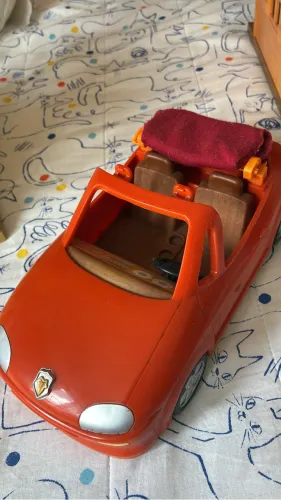 Carro slyvanian families