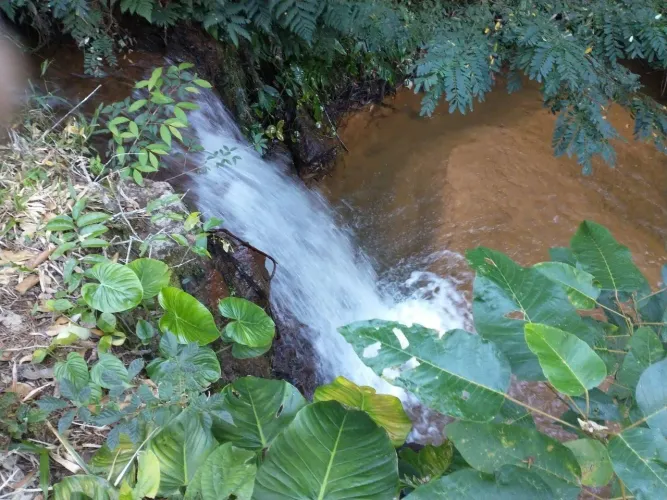 Sítio marechal floriano cachoeira do Zeca 
