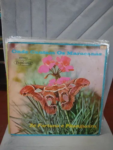 LP sertanejo antigo