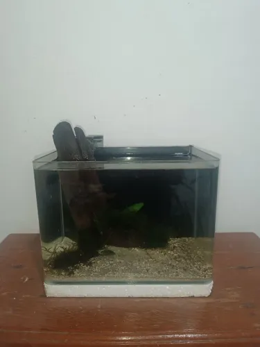 Aquário 10L