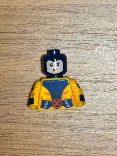 Torso Jean Grey