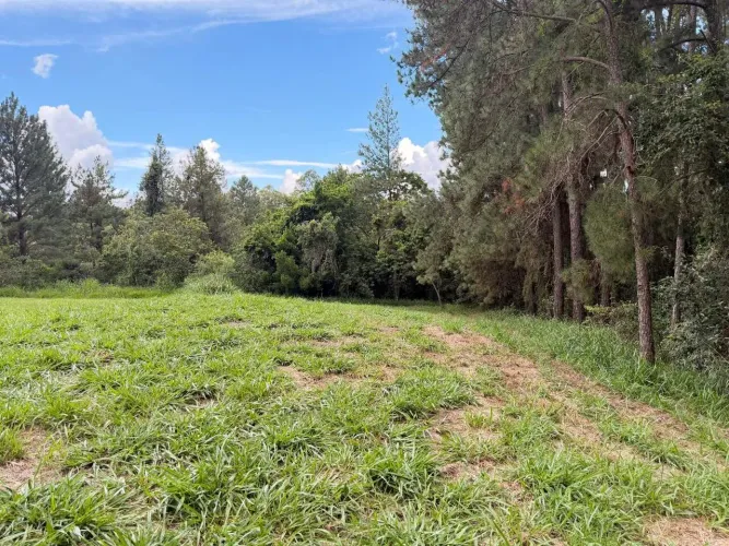 Terreno em Itu à venda Condomínio Terras de São José II - SP | Área total 2.177,64 m² - R$