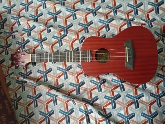Ukulele Concert Mahina