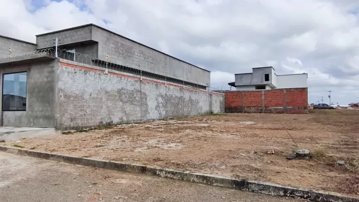 Acquaville Tambaqui 10x25 Santana