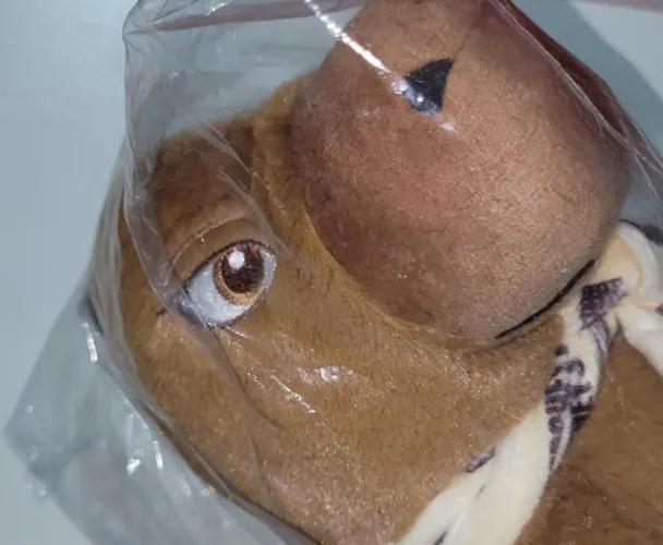 Capibarra de Cachecol - ( Pelúcia Capivara Hersheys )