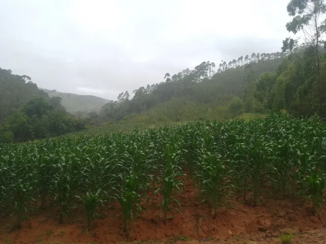 Propriedade região de jucu pedras azul 
