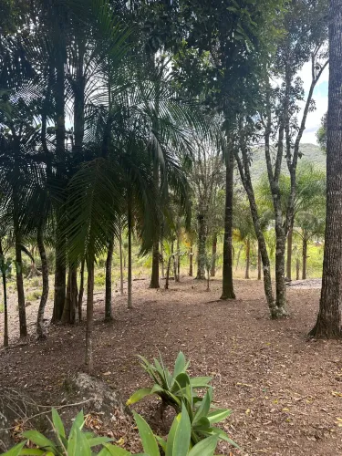 Terreno ideal para construir seu chalé! Bem localizado A. Mornas