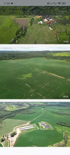 Fazenda 280 alq + granja de porco Ed m Caiapônia Go. 90 milhões.