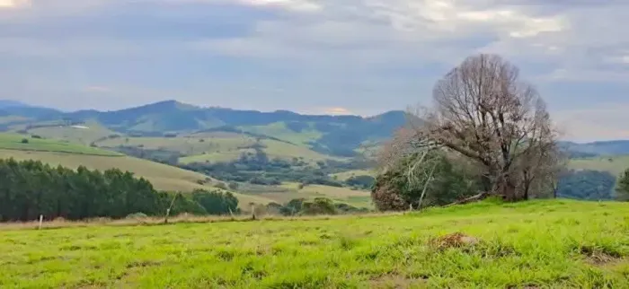 Paraiso da mantiqueira
