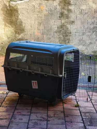 Caixa de transporte JUMBO DOGFLY IATA para cachorros gigantescos