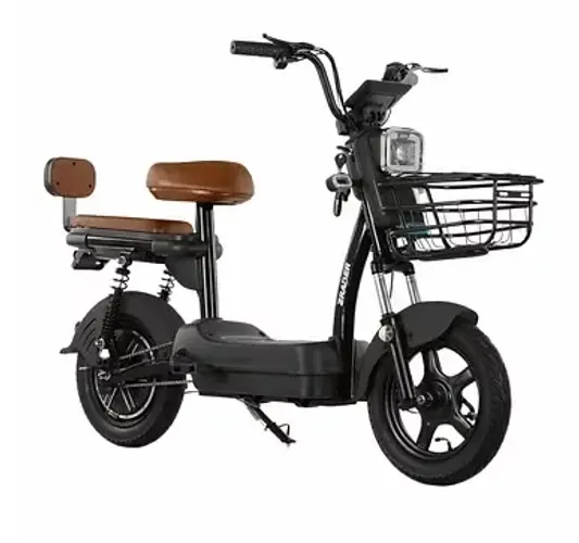 Bicicleta elétrica