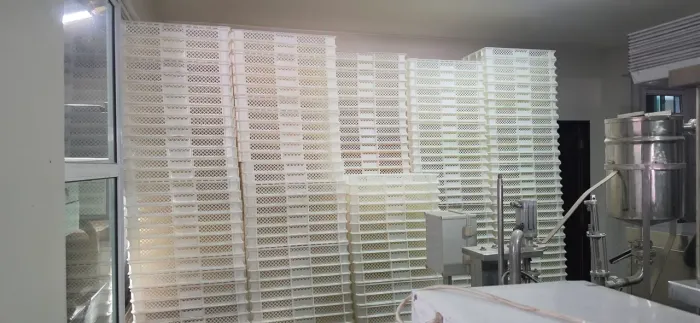 Caixas para congelados