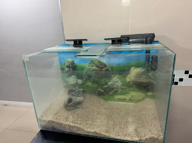 Aquário 60 litros