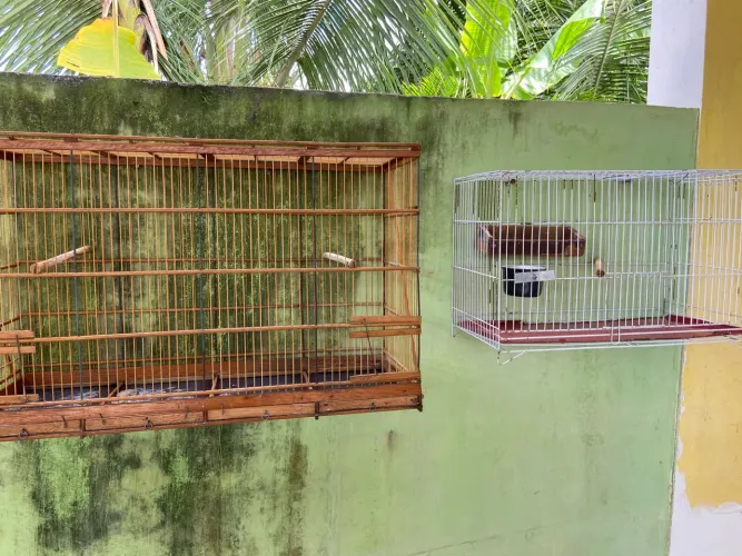 Gaiolas para pássaros.