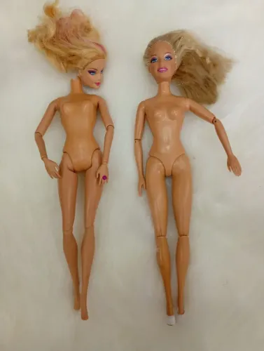 Corpo de barbies articulados 
