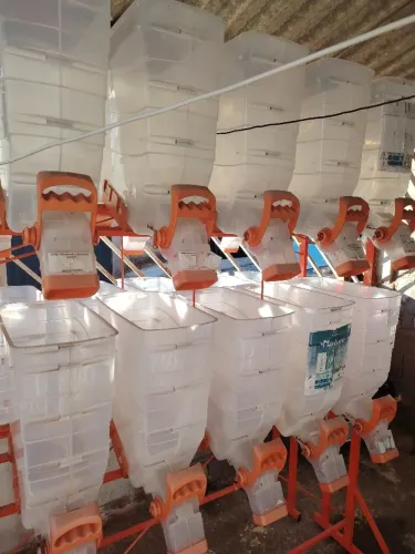 Dispenser de alimentos para animais