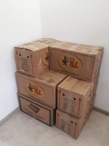 caixas papelão montador frete