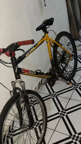 Bicicleta