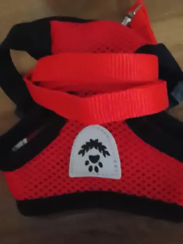 Coleira de cachorro