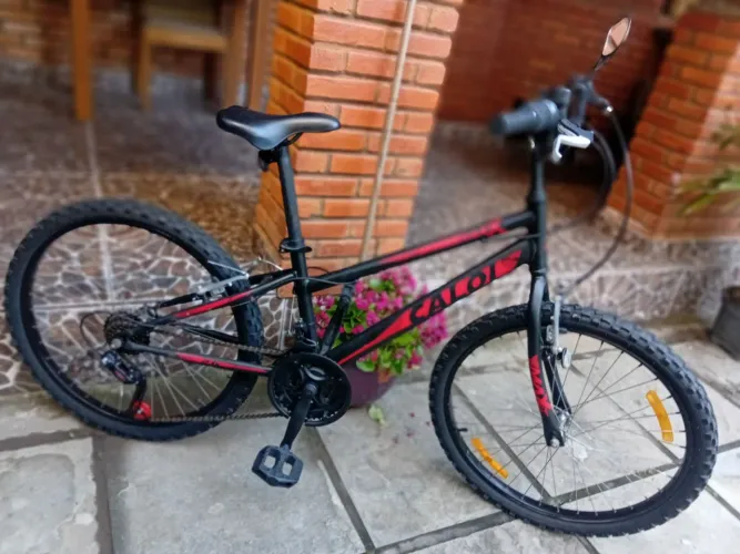 Bicicleta Caloi Max 24