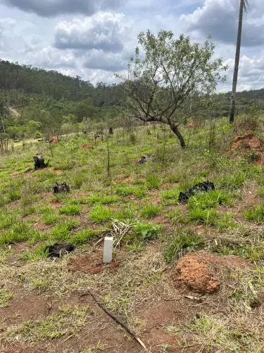 Terrenos em Bairro Portão (Atibaia) - Divisa com Mairiporã, Acesso via Fernão Dias
