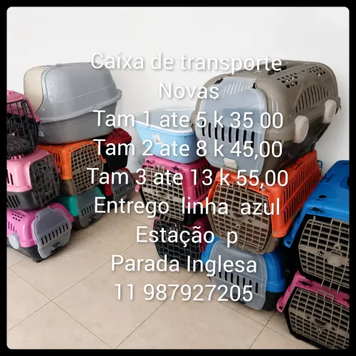 Caixa de transporte 