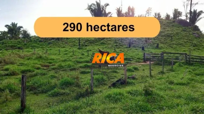 Vende-se Fazenda 290 Hectares no Distrito de União Bandeirantes- Porto Velho RO.