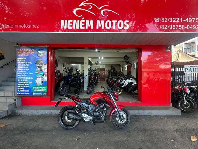 FZ 25