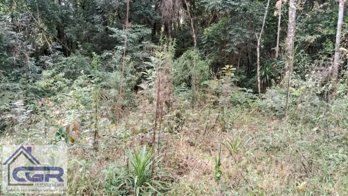 Área Rural para Venda em São José dos Pinhais, Campestre da Faxina