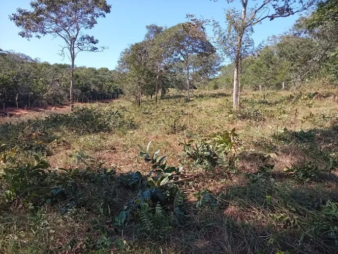 Sítio são José 