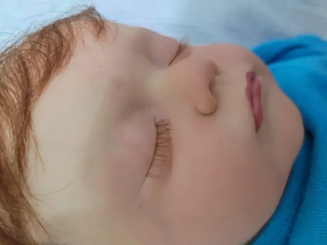 Vendo bebê reborn