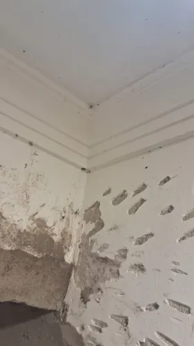 Gesseiro e montador de Draywall 