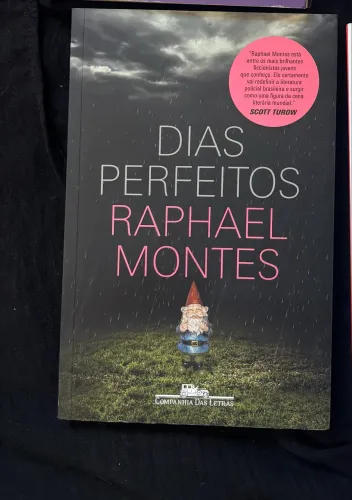 LIVRO: DIAS PERFEITOS