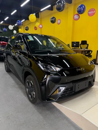 BYD Dolphin Mini GL 2027