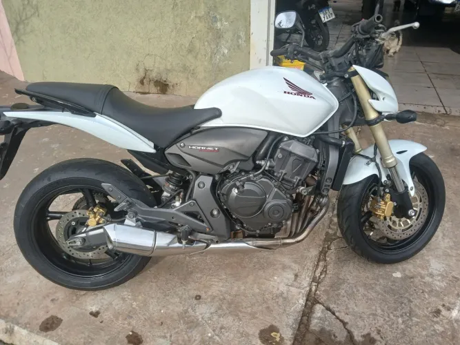 Hornet 600f