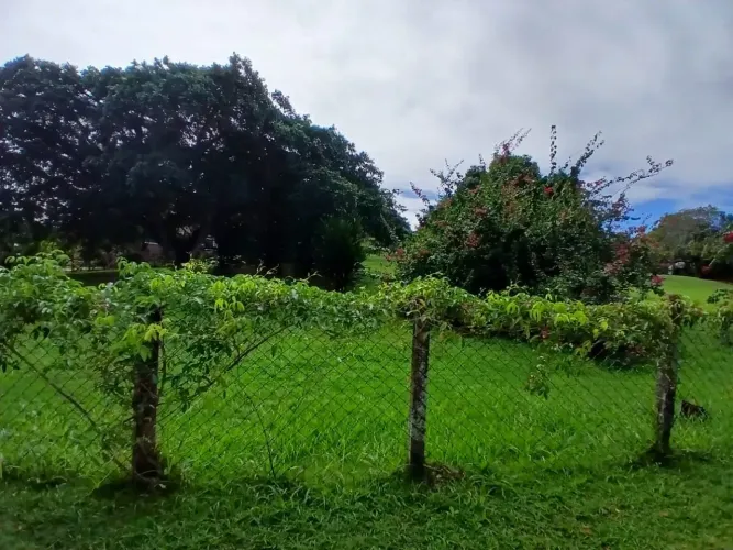 Imóvel para venda possui 1000 metros quadrados em Vila de Abrantes (Abrantes) - Camaçari -