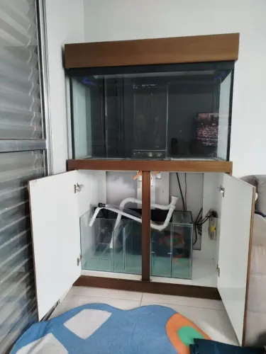 Aquário marinho