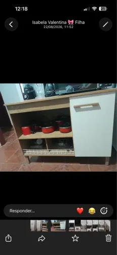 Armário novo