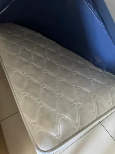Cama