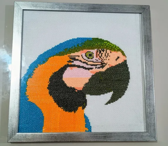Quadro Arara-Canindé