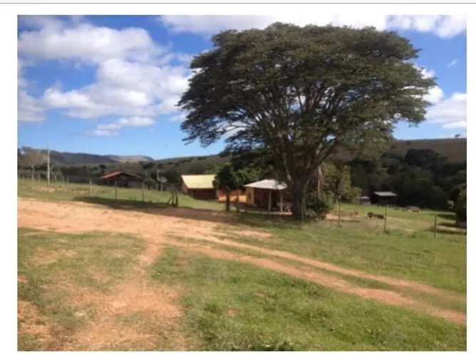 Fazenda 211 Hectares