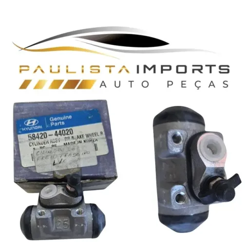 Cilindro Freio H100 1994 1995 1996 1997 1998 1999 ( Traseiro Esquerdo Original 