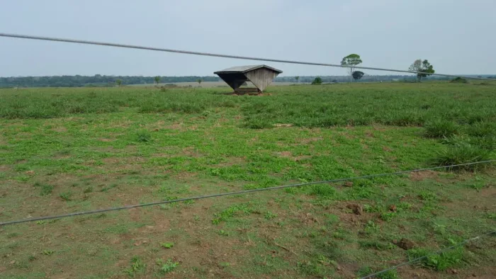 Fazenda 12.000 hect em Juína MT. 9.680 abertos  350 milhões